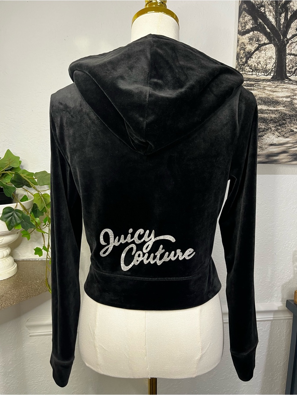 Juicy Couture Velour Tracksuit Track Jacket and Pants Set Liquorice Medium